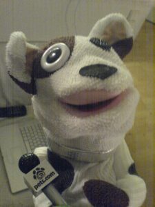 Pets.com Sock Puppet